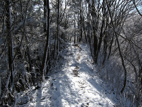 20191129hike (350)